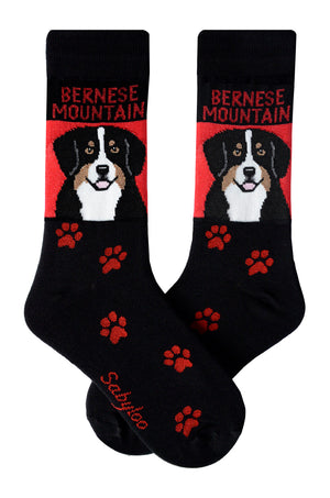 Bernese Dog Socks