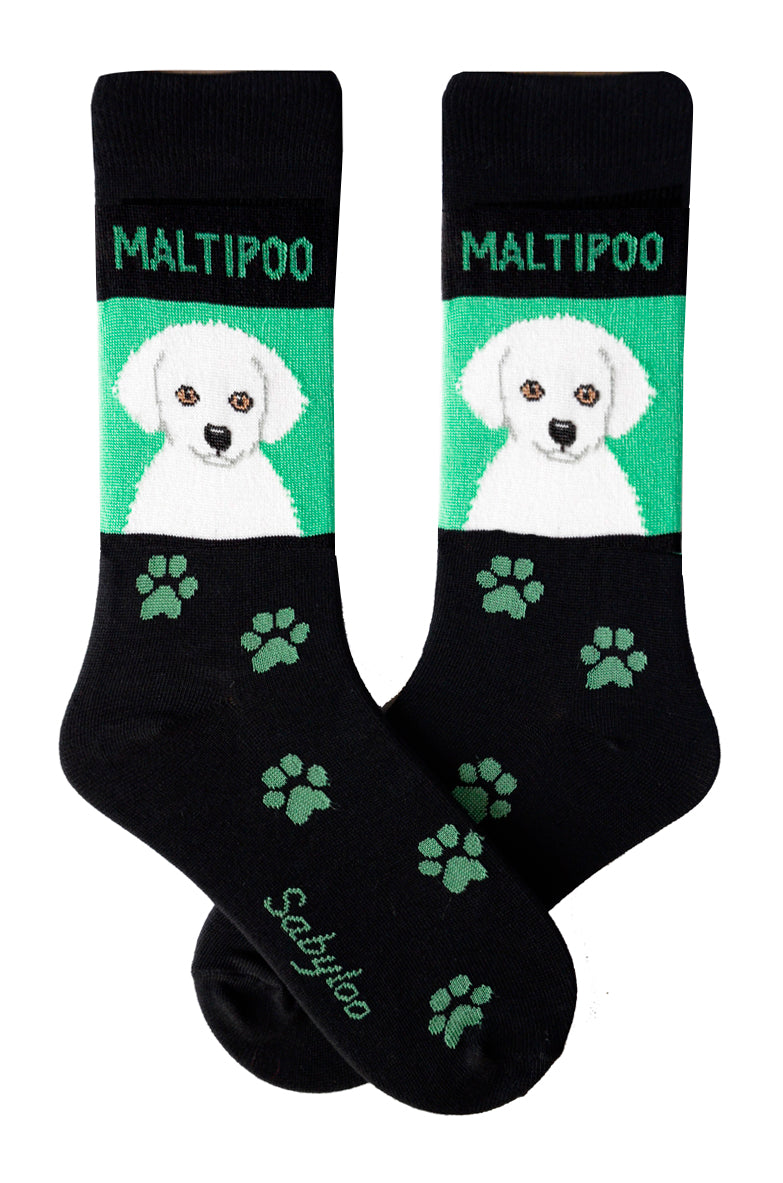 Maltese dog socks outlet