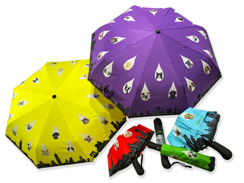 Sabyloo&#39;s &quot;RAINING CATS AND DOGS&quot; Umbrellas