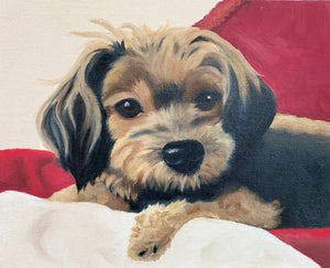 Commissioned Pet Portrait Oil Painting