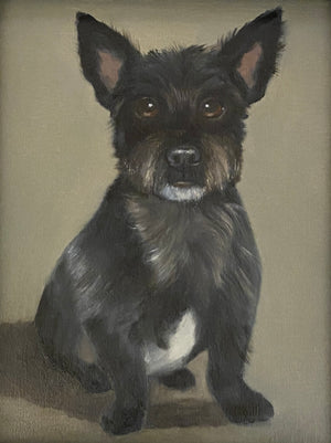 Commissioned Pet Portrait Oil Painting