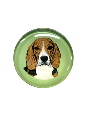 Beagle Dog Magnet