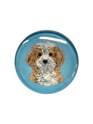 Cavapoo Dog Magnet