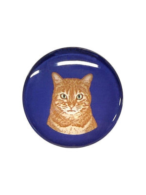 Orange Tabby Cat Magnet
