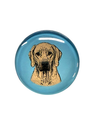 Rhodesian Dog Magnet