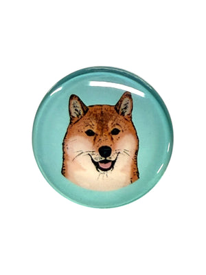 Shiba Inu Dog Magnet