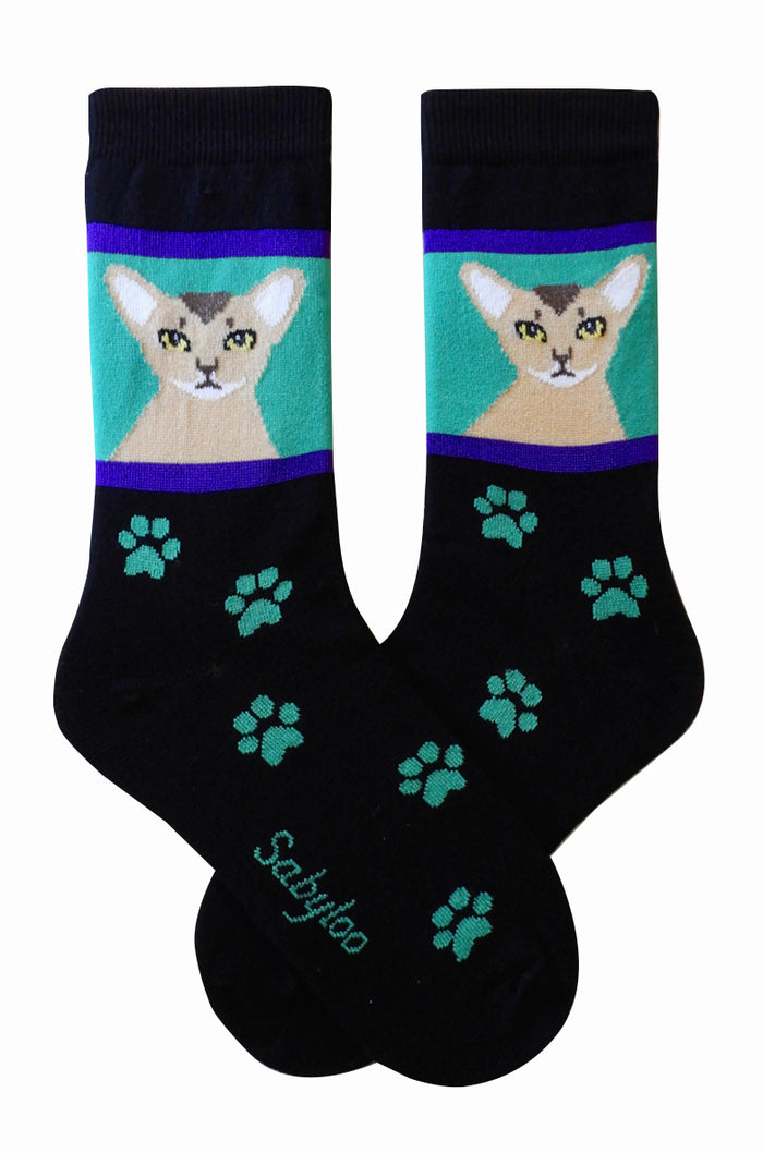 Cat Socks