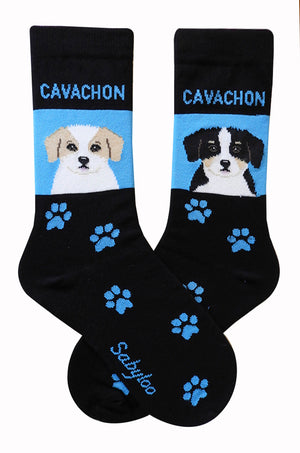 Cavachon Dog Socks