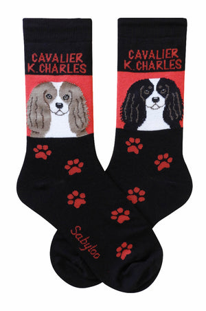 King Charles Cavalier Dog Socks