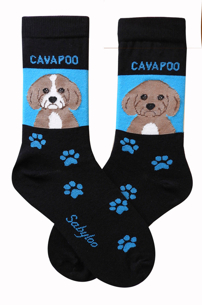 Cavapoo Dog Socks