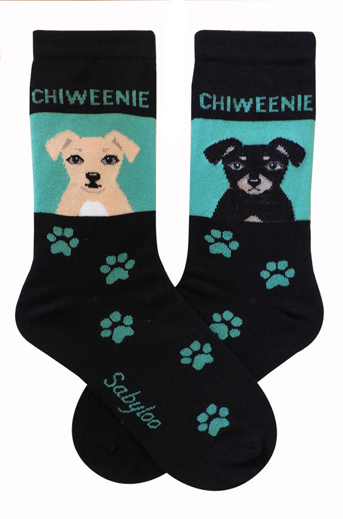 Chiweenie Dog Socks