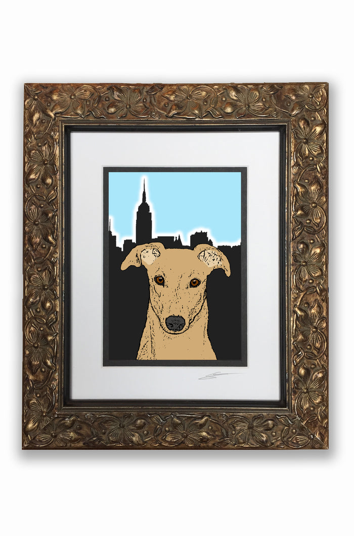 Greyhound Pupart Portrait