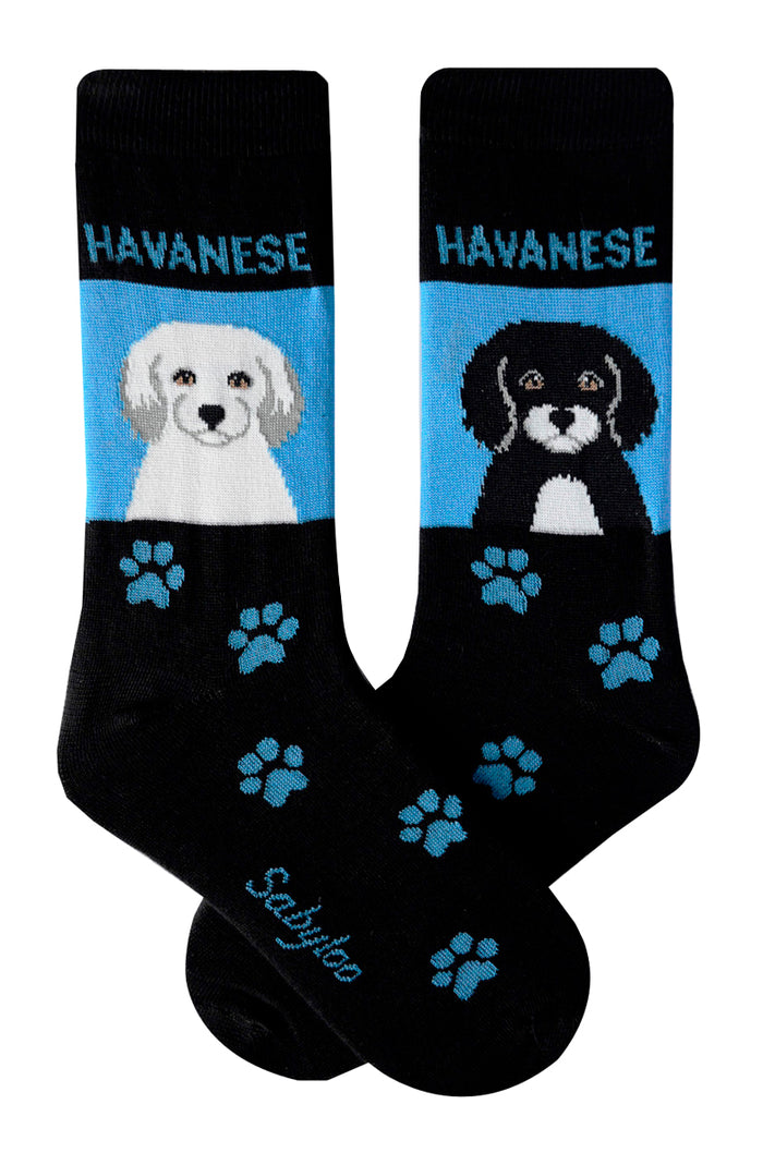 Havanese Dog Socks