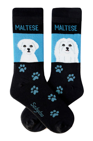 Maltese Dog Socks