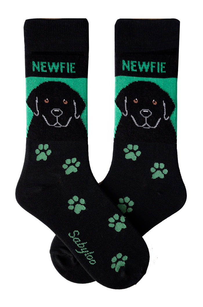 Newfoundland Dog Socks