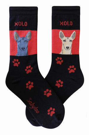 Xoloitzcuintli Dog Socks (Xolo)